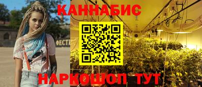 прущие крисы Будённовск