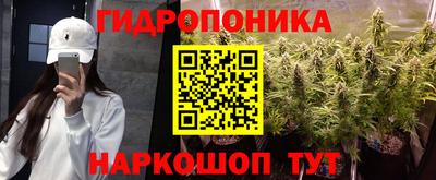 прущие крисы Будённовск