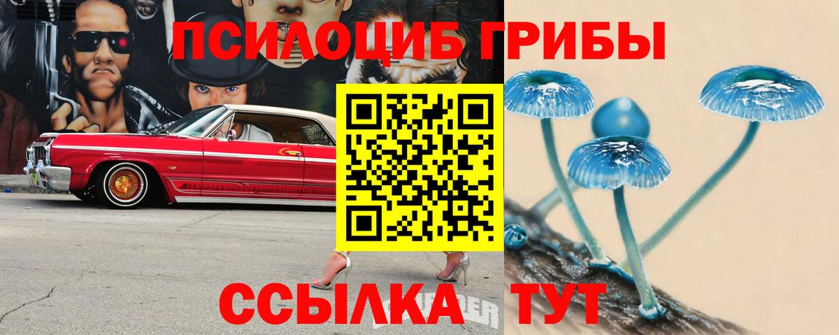 Псилоцибиновые грибы MAGIC MUSHROOMS  Вход с VPN  Курчатов 